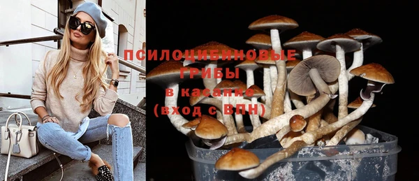 гидра Алзамай