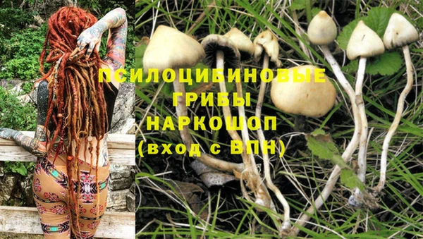 прущая мука Осинники