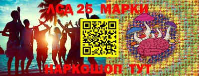 PSILOCYBIN Пушкино