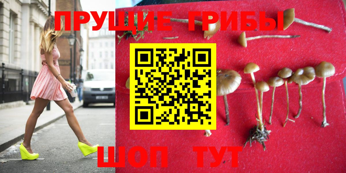 Галлюциногенные грибы Magic Shrooms Павлово
